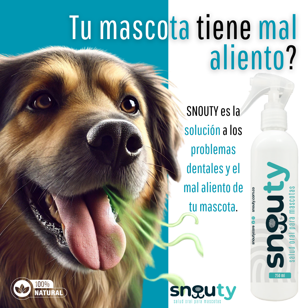 Spray eliminador de sarro y mal aliento Snouty