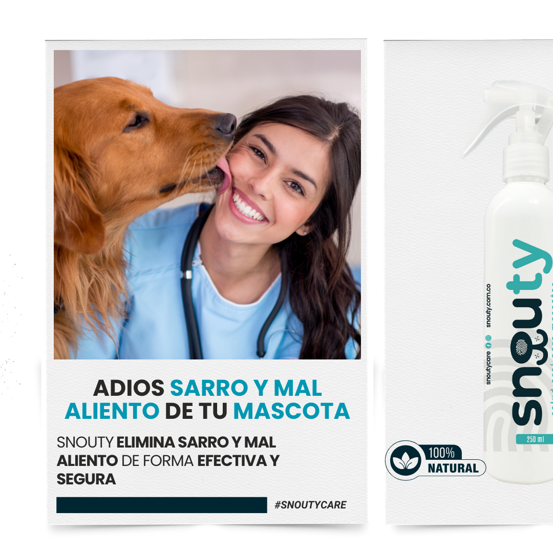 Spray eliminador de sarro y mal aliento Snouty