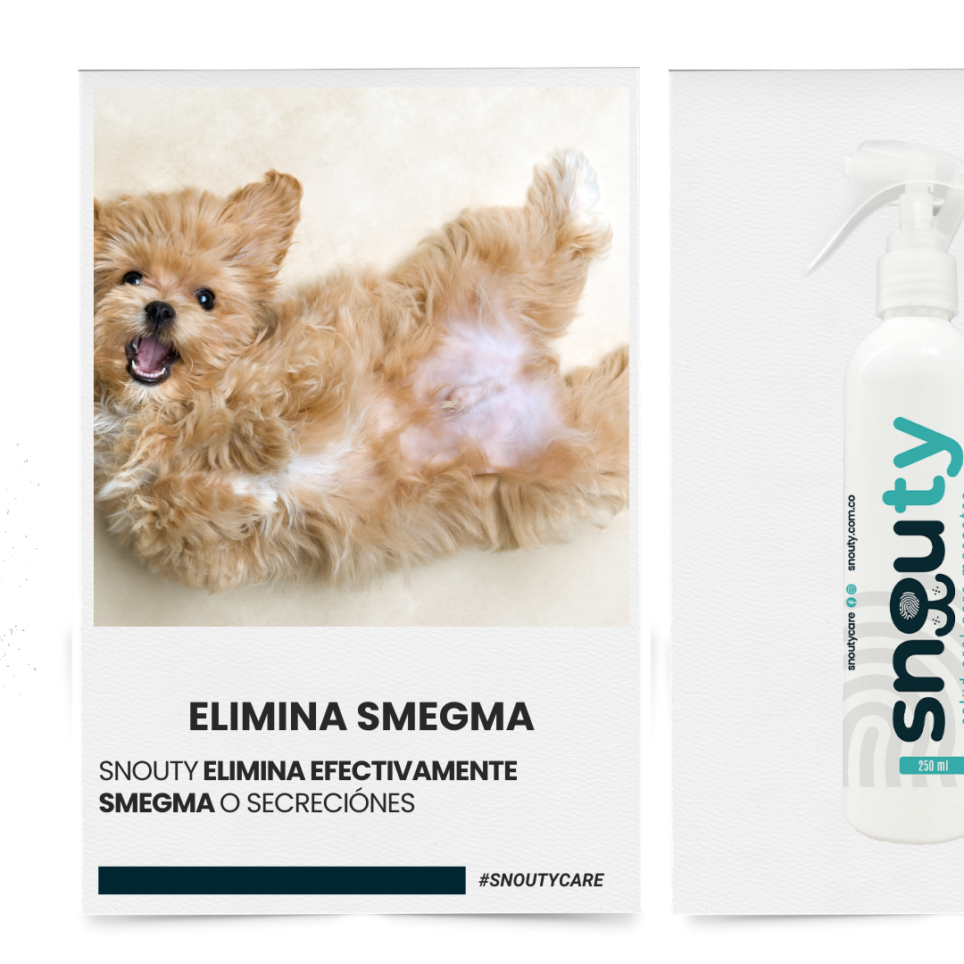 Spray eliminador de sarro y mal aliento Snouty