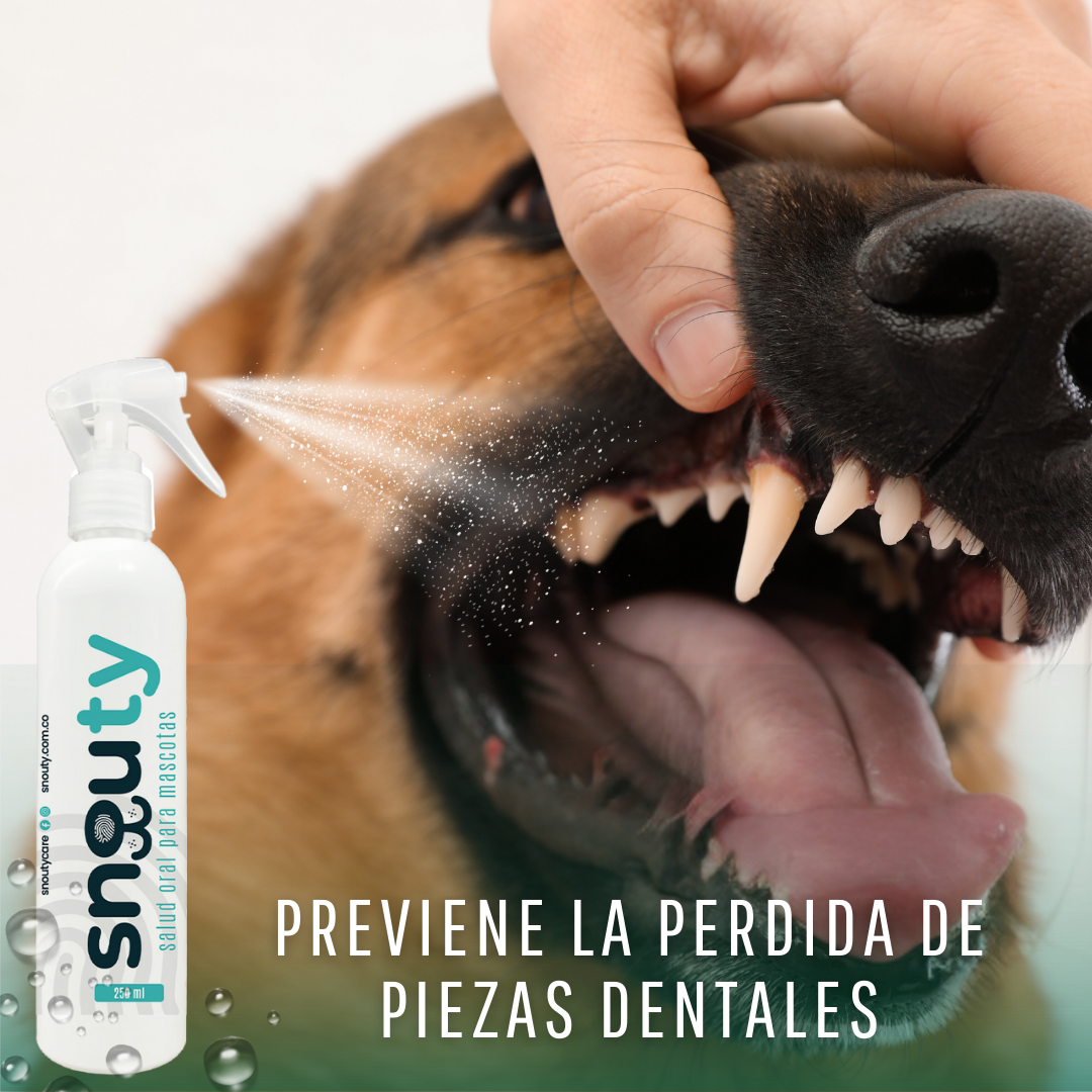 Spray eliminador de sarro y mal aliento Snouty