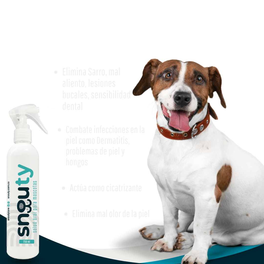 Spray eliminador de sarro y mal aliento Snouty