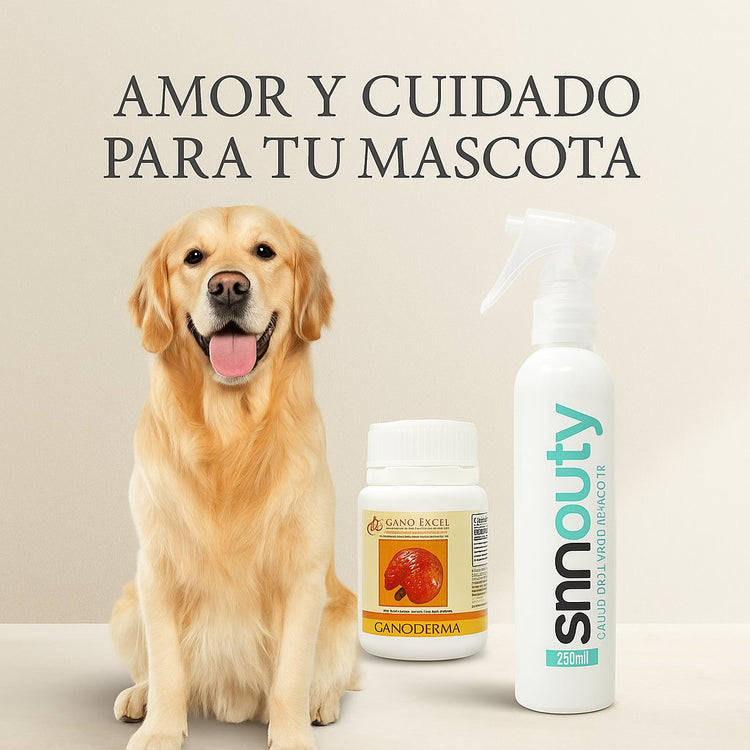 Amor y Cuidado para tu Mascota
