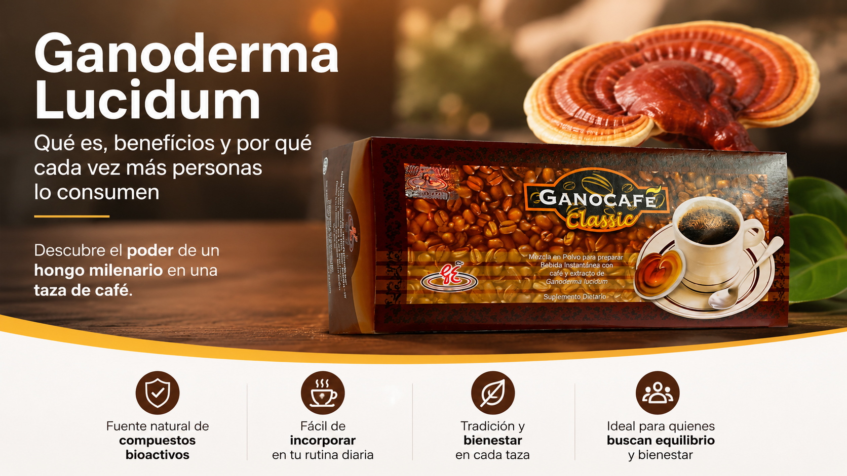 Ganoderma Lucidum: Beneficios y Cómo Consumirlo